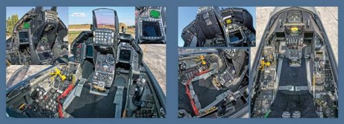 EAV015 F-16C/D/E/F Fighting Falcon: Unter der Haut - Special Edition