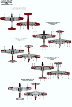 XD48222 Chipmunk T.10 Teil 2