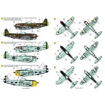 ACD72038 P-/F-47 Thunderbolt im weltweiten Einsatz