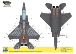 DXM48029 F-15E Strike Eagle 4th Fighter Wing Jubiläum