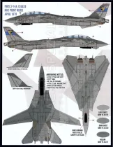 FD&S4815 F-14A Tomcat in Heater-Ferris Tarnschemen