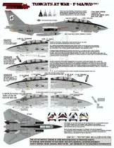 FTD48083 F-14A/B/D Tomcats at War, Teil 1