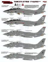 FTD48083 F-14A/B/D Tomcats at War, Teil 1