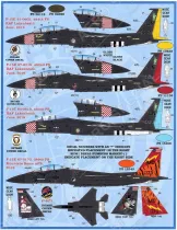 FBD48071 F-15C Eagle & F-15E Strike Eagle Gedenkanstriche