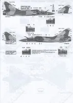 BD48146 Mirage 2000-5F EC 1/2 Cigognes Teil 1