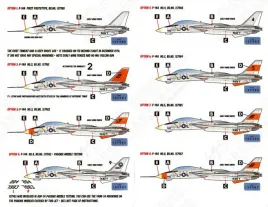 CD72106 F-14A Tomcat - die frühen Jahre