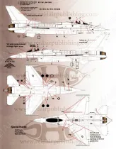 SHG48028 Spads Heritage: F-4 & F-16 der 457th (T)FS