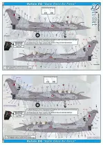 SY48918 Rafale Exportversionen (Ägypten, Indien, Katar)