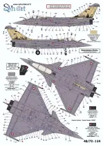 SY48134 Rafale C 10 Jahre in den Vereinigten Arabischen Emiraten