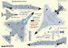 DXM72048 F-4EJ & F-4EJ Kai Phantom II ADTW letzter Flug