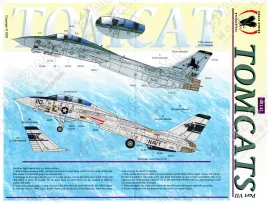 EGS48142 F-14A Tomcat VF-1 & VF-213