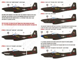 CD48146 F-82E/G Twin Mustang