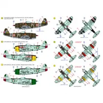 ACD48031 P-/F-47 Thunderbolt im weltweiten Einsatz