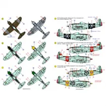 ACD48031 P-/F-47 Thunderbolt im weltweiten Einsatz