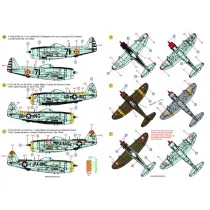 ACD72038 P-/F-47 Thunderbolt im weltweiten Einsatz