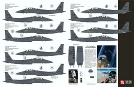 TB48286 F-15E Strike Eagle Black Panthers Drohnen-Killer