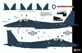 TB72112 F-15E Strike Eagle Black Panthers Drone Killers