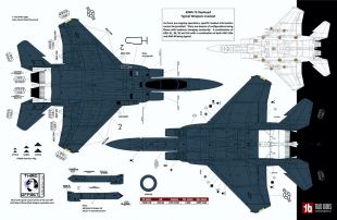 TB72112 F-15E Strike Eagle Black Panthers Drohnen-Killer