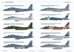 R2RRS06 F-15 Eagle