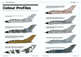 R2RRS07 Tornado IDS, ECR & ADV