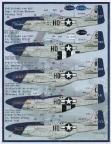 FBD48094 P-51 Mustang Meyer’s Maulers 487th FS Teil 1